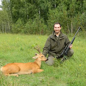 First Siberian Roe Deer