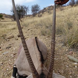 Hunting Gemsbok in Namibia