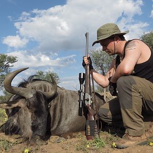 Blue Wildebeest Hunting Namibia