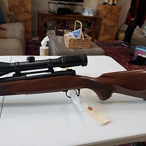 Winchester Model 70 Rifle in 300 Weatherby