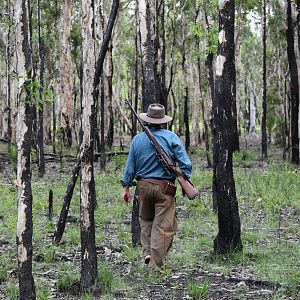 Hunting Scrub Bull in Australia