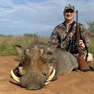 Warthog Hunt South Africa