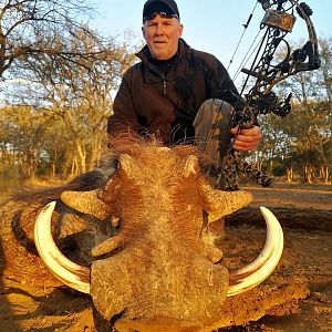 Bow Hunting Warthog in South Africa