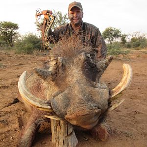 Warthog Bow Hunt South Africa