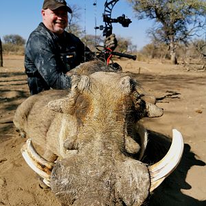 South Africa Bow Hunt Warthog