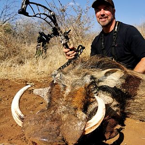 Bow Hunting Warthog in South Africa