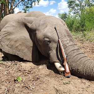 Elephant Hunting Zimbabwe