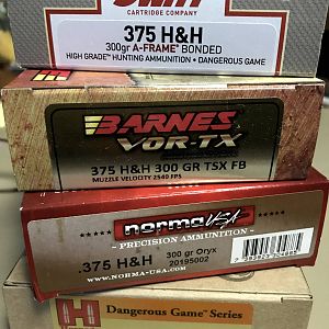 375H&H Load Development Ammo