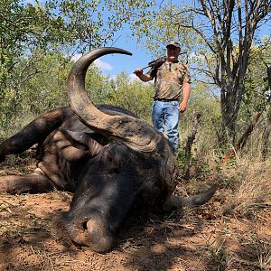 South Africa Hunting Cape Buffalo