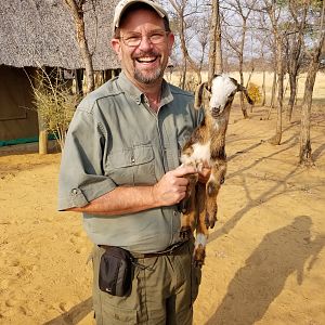 Baby Goat Zambia