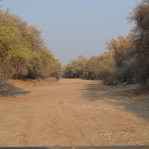 Ugab river bed  in Namibia