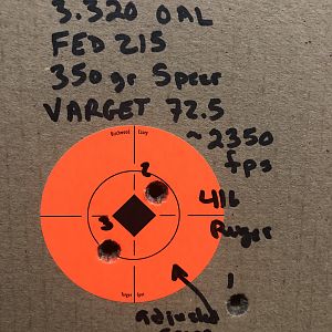 350 Speer Range Shots