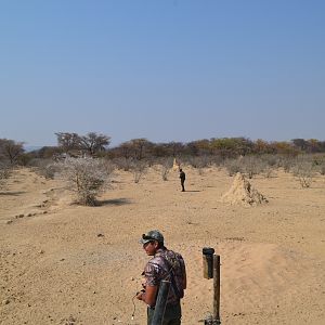 Impala Hunting Namibia