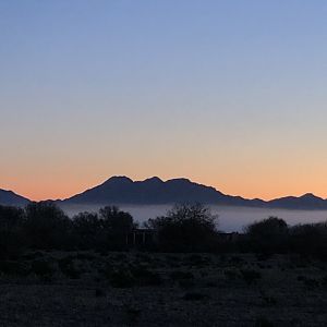 Desert Bighorn Sheep Hunt Mexico