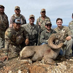 Hunt Desert Bighorn Sheep in Mexico