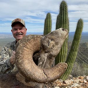 Mexico Hunting Desert Bighorn Sheep