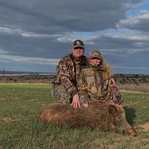 Eurasian Boar Hunt Texas USA