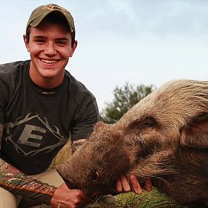 Bushpig Bow Hunt South Africa