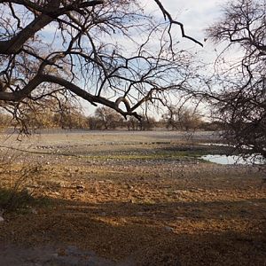 Botswana Hunting Area