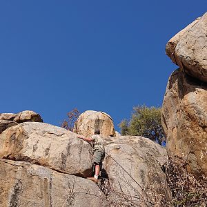 Baboon Hunting Namibia