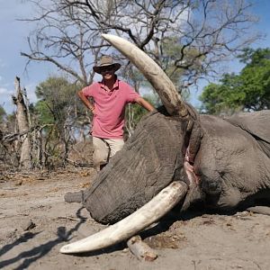 Hunting Elephant in Botswana