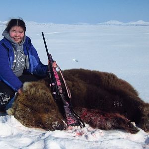 Alaska USA Hunt Brown Bear