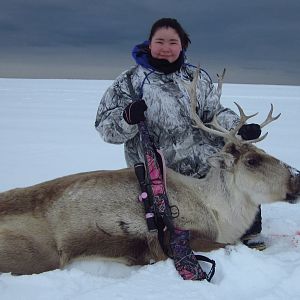 Hunt Caribou in Alaska USA