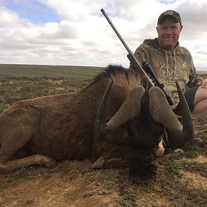 South Africa Hunting Black Wildebeest