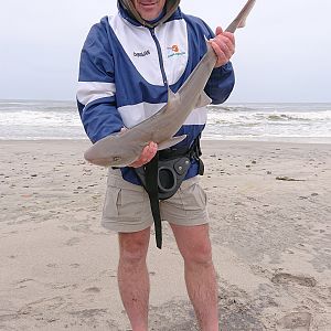 Fishing Bronze Whaler Shark in Namibia