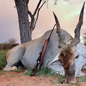 Hunting Eland in Namibia