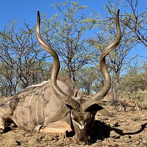 Hunting Kudu in Namibia