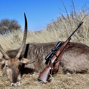 Waterbuck Hunting Namibia