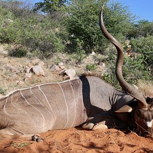 Kudu Hunting Namibia