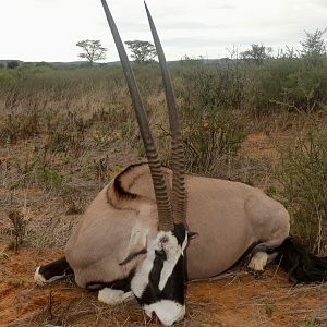 Namibia Hunt Gemsbok