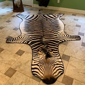 Hartmann's Mountain Zebra Rug