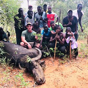 Zimbabwe Hunt Cape Buffalo Cow