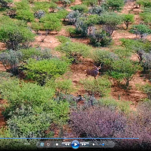 ZANA BOTES SAFARI NAMIBIA