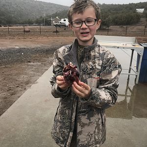 Texas Dall Sheep Heart