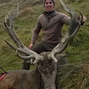 Hunt Red Stag in New Zealand