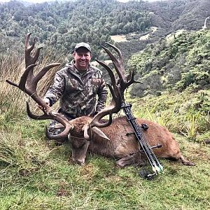 New Zealand Bow Hunt Red Stag