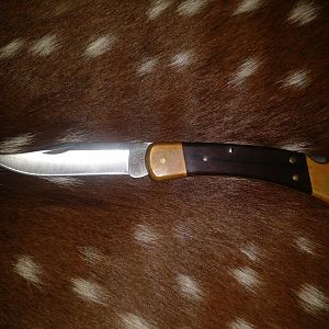 Buck Knive Model 110