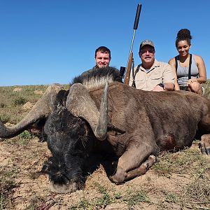 Hunting Black Wildebeest in South Africa