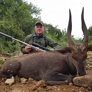 South Africa Hunt Bushbuck