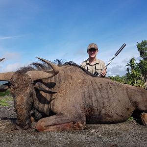 Hunting Blue Wildebeest in South Africa