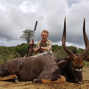 Nyala Hunt South Africa