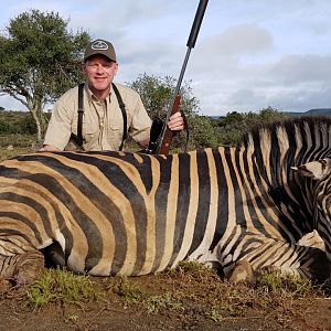 South Africa Hunting Burchell's Plain Zebra