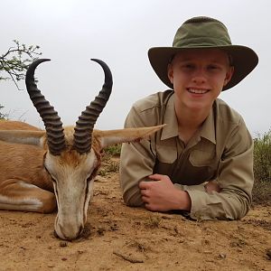 Hunt Springbok in South Africa