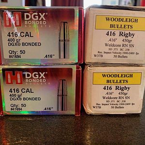 .416 cal Hornady DGX bonded & .416 cal Woodleigh RNSN