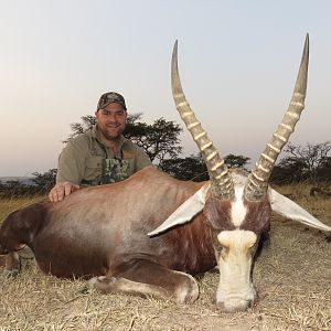 Blesbok Hunting South Africa