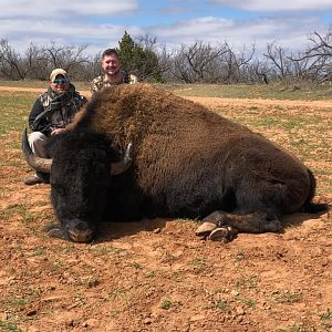 Texas USA Hunt Bison